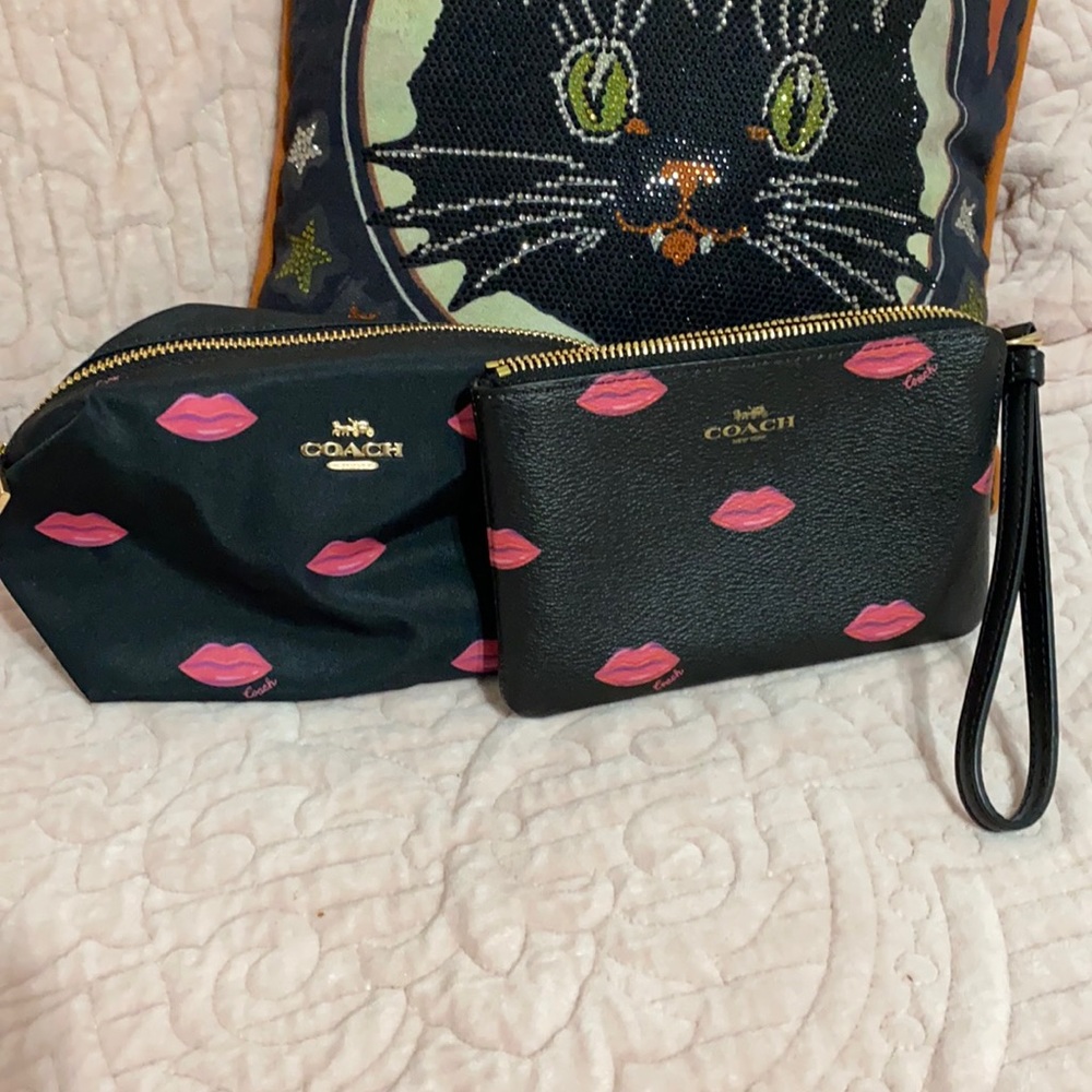 Coach cosmetic bag and wristlet clean in and out